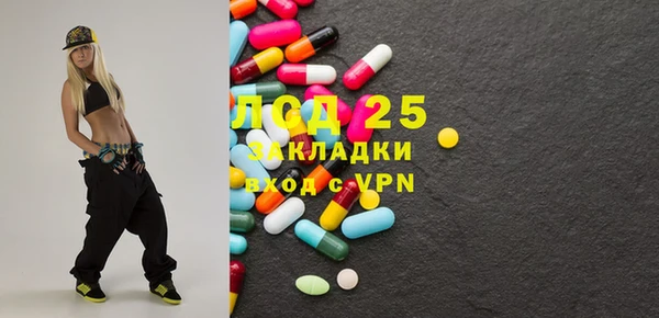 индика Алзамай