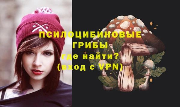 индика Алзамай
